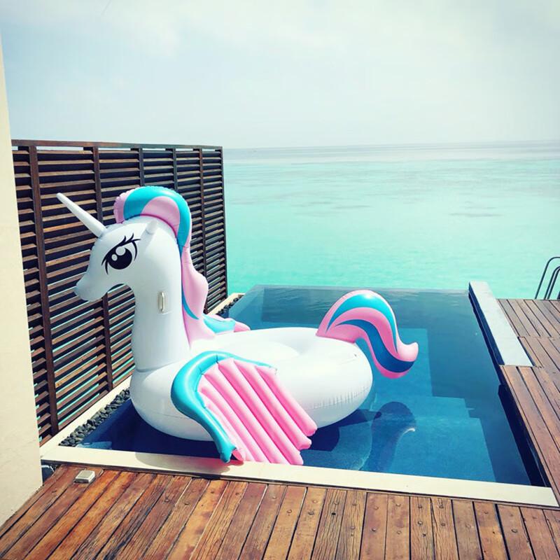 Giant Inflatable Pegasus Pool Float