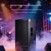 Weishu YD10 10-inch Professional Passive Speaker (CN version)