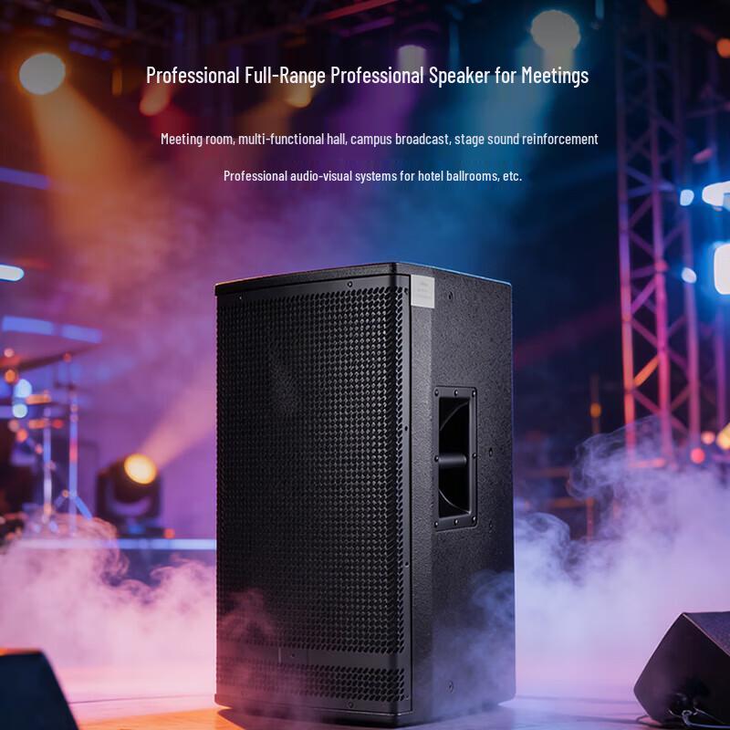 Weishu YD10 10-inch Professional Passive Speaker (CN version)
