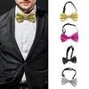 Elegant Sequins Neck Tie for Business Necktie Banquets Formal Suit Jewellery