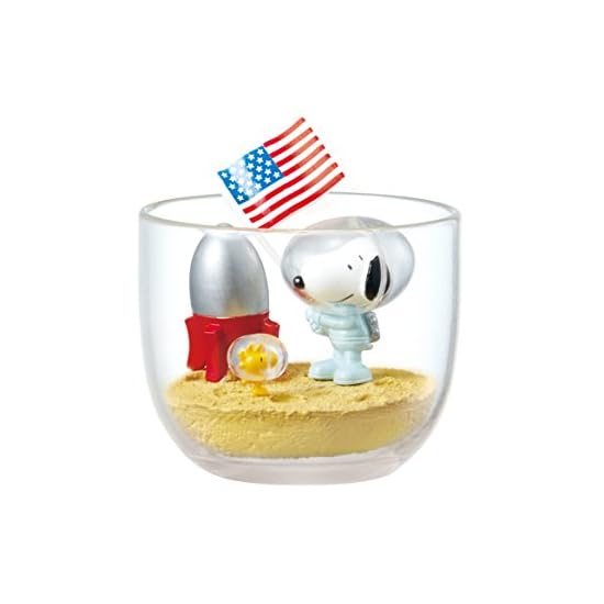 Snoopy & Woodstock Happy Terrarium BOX Product, 1 BOX = 6 pieces, 6 types in total