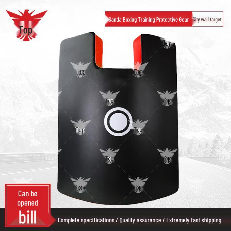 Dingpai Combat Training Wall Target