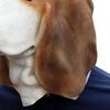 Halloween Gesichtsbedeckung Hautfreundlich Verschleißfest Emulsion Hundekopf Tiergesichtsbedeckung für Zuhause