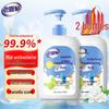 Laoguanjia Antibacterial Hand Wash - Camellia Scent (2 x 500ml)