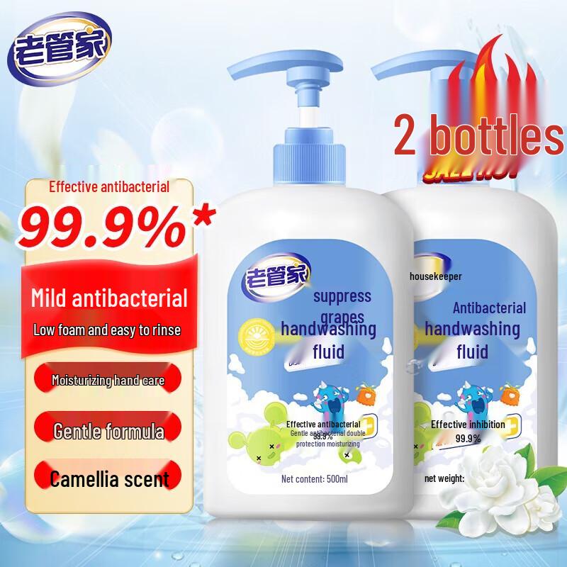 Laoguanjia Antibacterial Hand Wash - Camellia Scent (2 x 500ml)