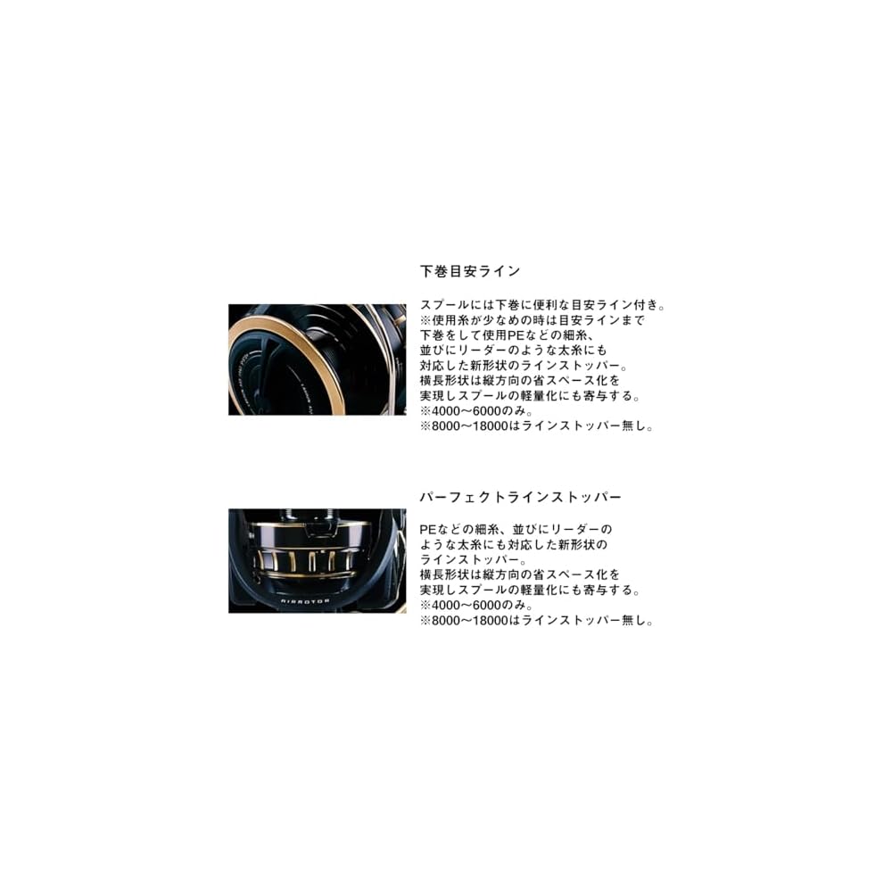 Daiwa 23BG SW 4000D-CXH Spinning Reel Fishing Gear Lightweight Durable Design