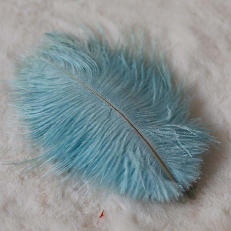 24 Colors 15-20Cm Ostrich Feather, Hotel Wedding Window Home Decoration Ostrich Feather