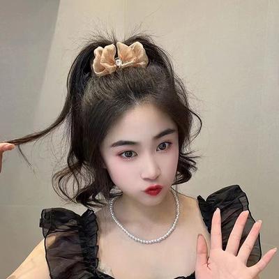 Elegant  Bubble Mesh Hair Clip Double-Sided Bow Ponytail Hair Claw For Women Hair Accessories