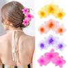 All-match Hairpin Hairpin Headdress Frosted Flower Shark Clip Hairpin Hair Accessories