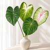 Decoração de casa – Flores e coroas artificiais