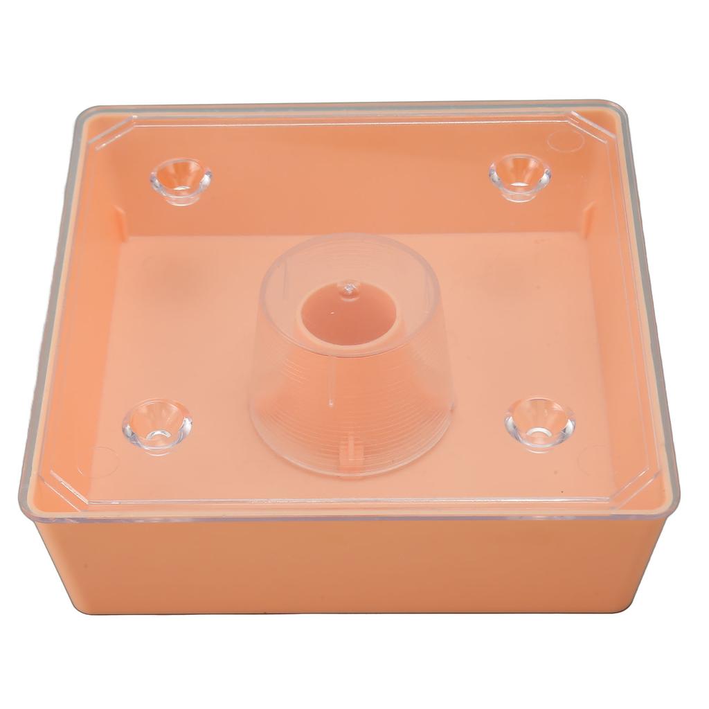 Acryl Kolibri Feeder Outdoor Beehive Top Feeder Platz Imkerei Wasser Feeder