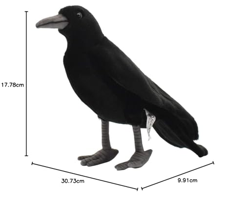 HANSA BH 6266 HANSA Crow 31