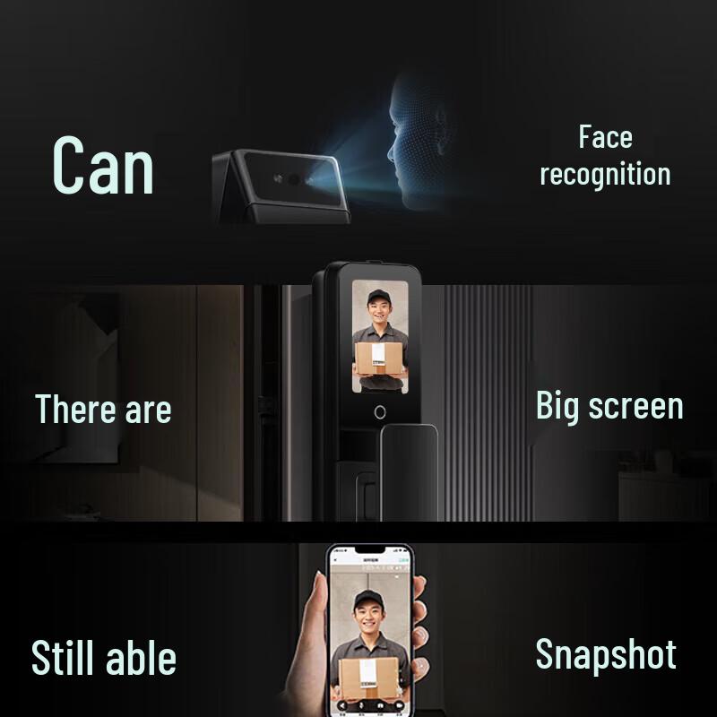 DESMAN Dasheng Q5FPro 3D Facial Recognition Smart Lock