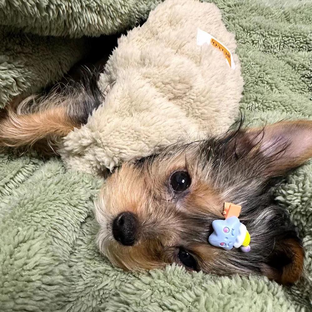 Winter Fleece Dog Sweater Cat Pullover Puppy Costume Comfortable Fashion Pet Warm Clothes Round Neck Clothes Chihuahua Yorkshire Bichon Vest