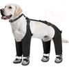 Roupa e sapatos – Sapatos para cães