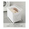 Yamazaki Jitsugyo (Yamazaki) Baggage Storage Box White Approx. W46 x D29 x H40cm (when used) Tower Folding Luggage Storage 3544