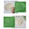 Lightweight Bamboo Fan Hand Weaving Summer Cooling Fan Guest Favors Palm Leaf Fan  Summer Accessory