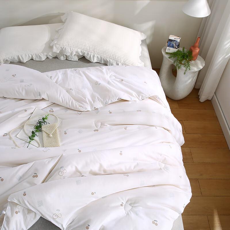 

ANNA AISHER Platinum Soy Fiber Spring/Autumn Quilt