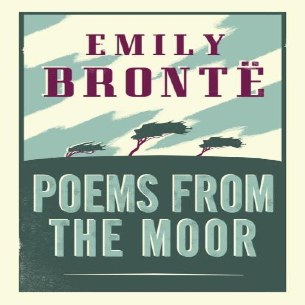 Poems from the Moor by Emily Bronte Paperback Book 9781847497246