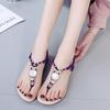 Fashion Women's Shoes 2025 Summer New Bohemian Owl Beaded Flat-soled Sandals Toe Beach Women's Sandals Wholesale