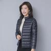 2023 Women's Off-Season Lightweight Cotton Jacket, Korean Style, Slim Fit, Short, Solid Color.