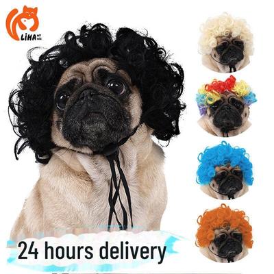 Pet Wig Collection: Afro Curly Hair Accessories for Dogs and Cats - Perfect for Halloween!