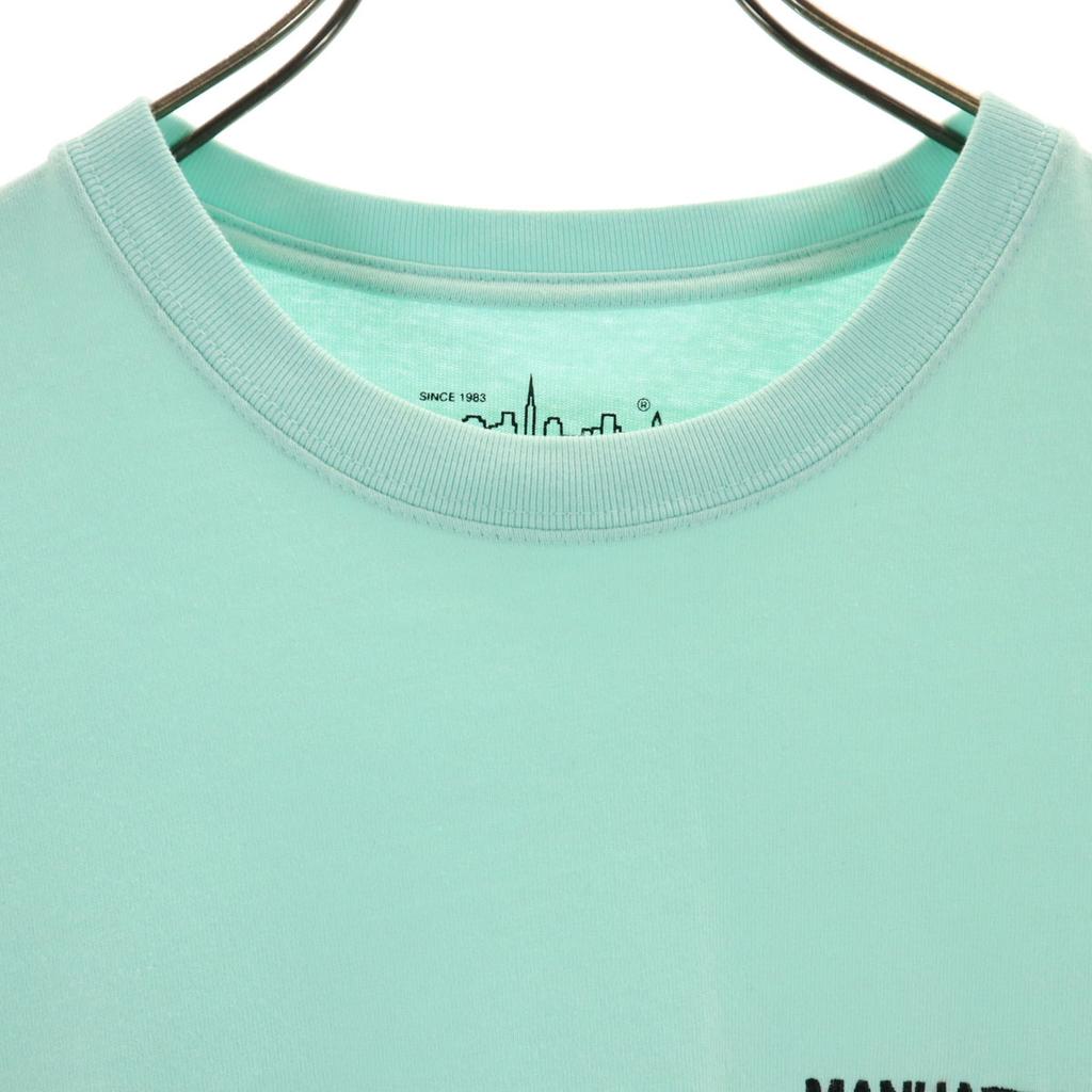 Manhattan Portage Back English Print Short Sleeve T-shirt M Mint Green Men's Used