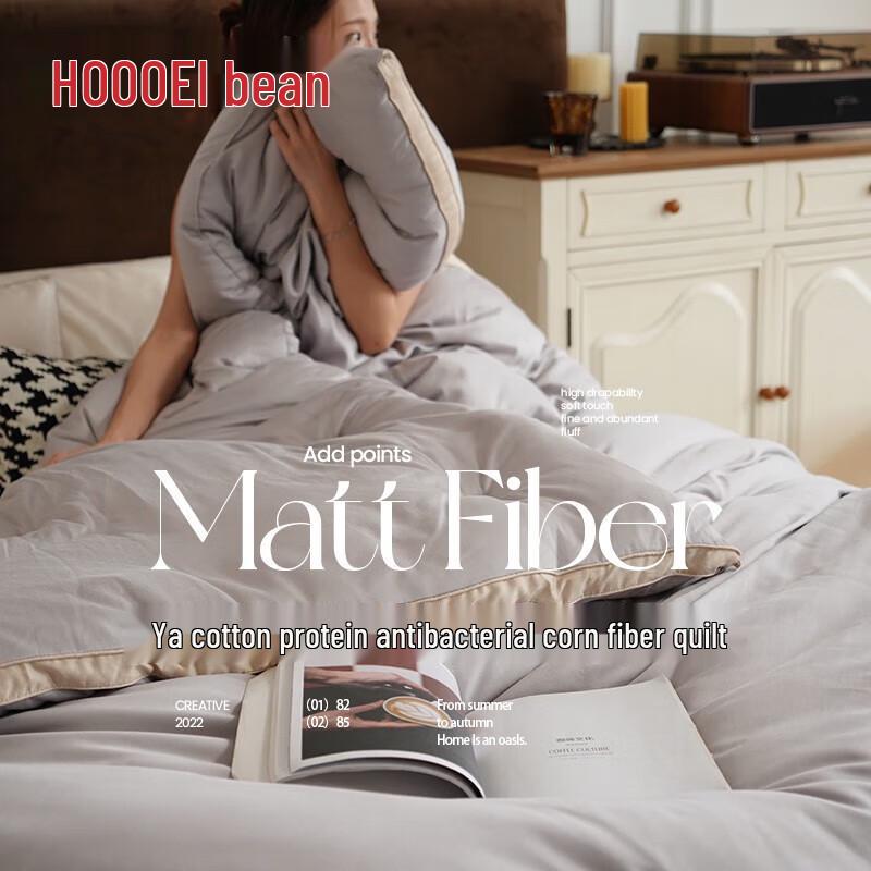 

HOdoHome All-Season Soybean Fiber Comforter