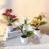 Tactile Magnolia Bonsai, Realistic 3-Head Faux Plant, Home Decor & Photo Prop, Wedding Ceremony Centerpiece