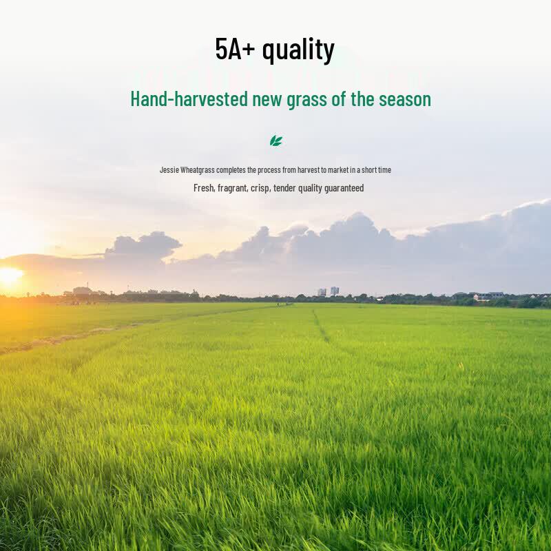 Jiexi Natural Hay & Grass Feed for Small Pets