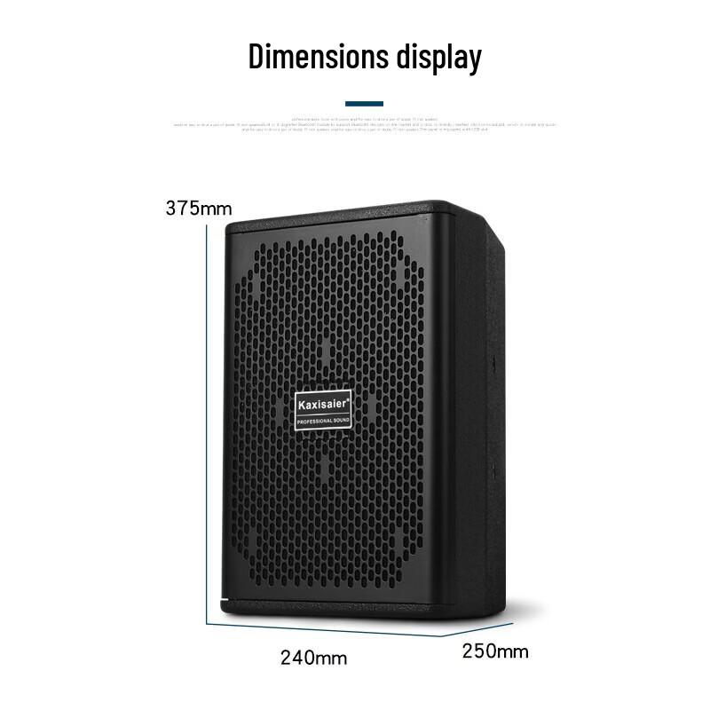 KAXISAIER Professional Passive Full-Range Speaker CN Plug (adapter Included)