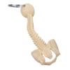 Detailed Human Spine Skeleton Keychain Anatomical Model Key Chain for Teaching and Ornamentation Doctor Accessories