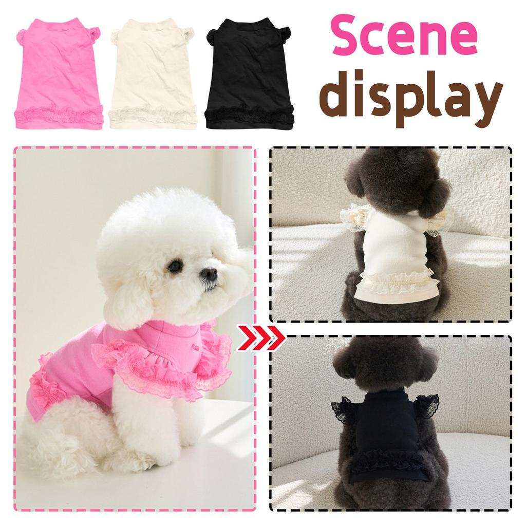 Pet Clothing Fall And Winter Bichon Frises Pomeranian Teddy Bottoming Shirt Cat T-shirt Tops