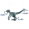 TAKARA TOMY Ania Jurassic World Final Battle Set Animal Dinosaur Toy Ages 3+