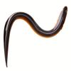 1pc 11.81inch Extra Long Electric Eel Soft Bait Eel Fake Bait Eel Loach Simulation Mimic Bait Lua Bait, Silicone, for Sea Fishing, Boat Fishing