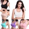 Women Breathable Padded Sports Bra With Hollow Out Design And Pure Color