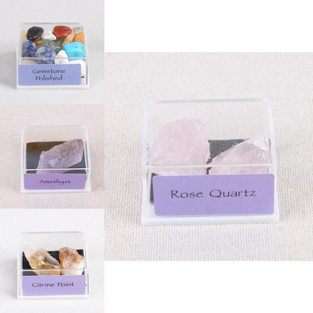 Stunning Natural Rough Stones Mixed Color Quartz Crystal Mineral Rocks Collection