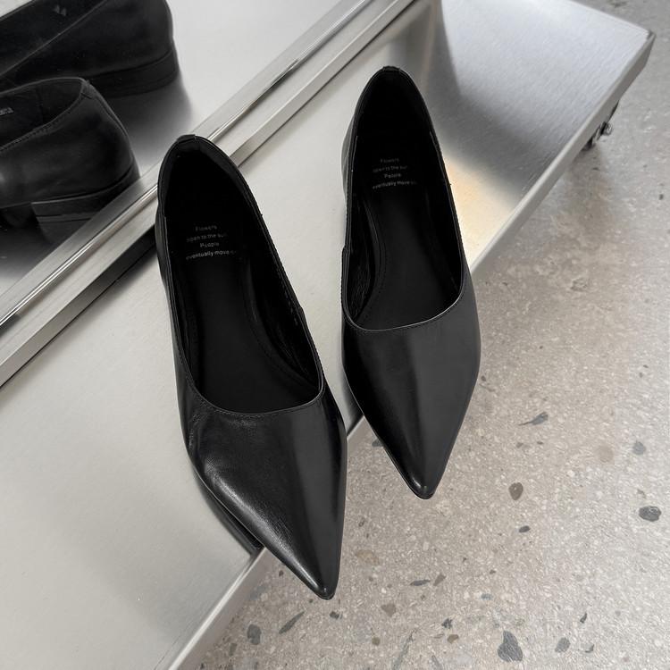 2025 spring and autumn new fashion versatile simple high heels women's French pointed temperament single shoes shallow mouth work