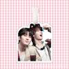 Seventeen Wen Junhui Luggage Tag & Keychain Accessories