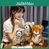 Cute And Soft Squirrel Raccoon Plush Toy For Kids Wholesale Animal Park Souvenir