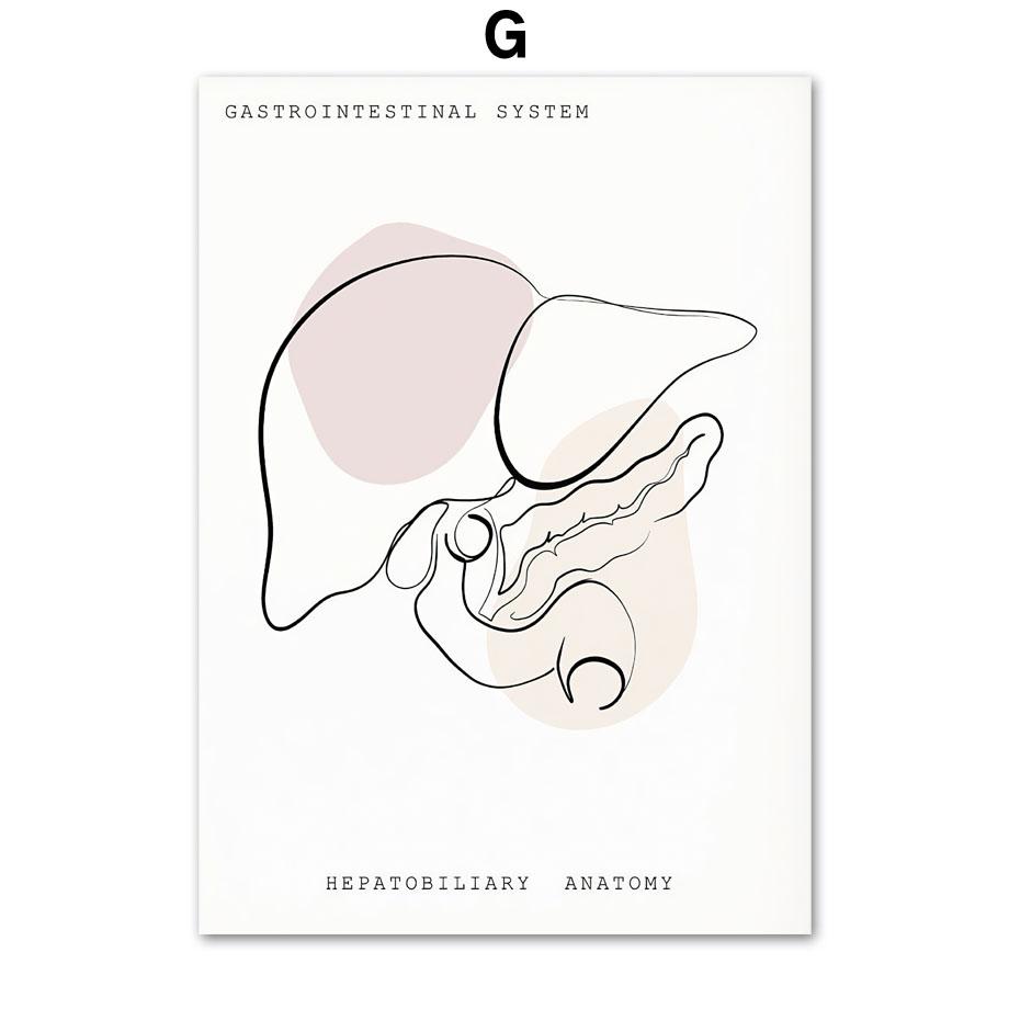 Minimalistisches buntes Anatomie-Linien-medizinisches Poster und Druck, Geist-Zahn-Organ-Wand-Kunst-Leinwand-Malerei, Ästhetik, Raumklinik-Dekor