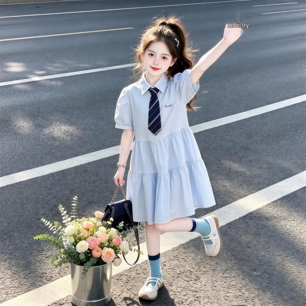 New Arrival: Korean Style Puff Sleeve Princess Summer Dress for Girls