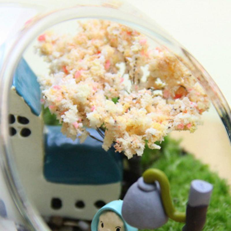 Plant Mini Glass Container Oblique Round Glass Container Oblique Glass Container Vase Plant Stand Fish Tank