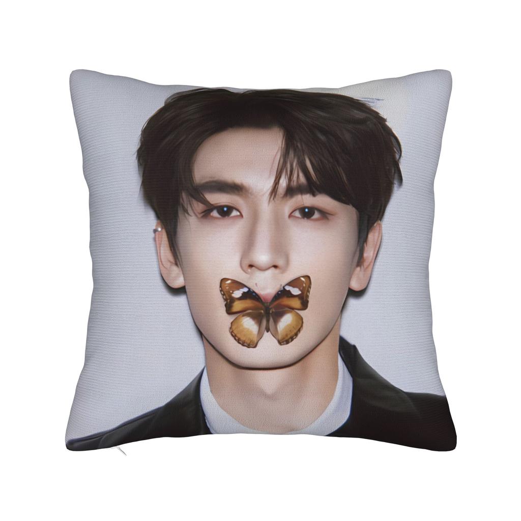 Zhang Linghe Pillowcases Kawaii Pillow Case For Living Room Sofa Custom Pillow Cover