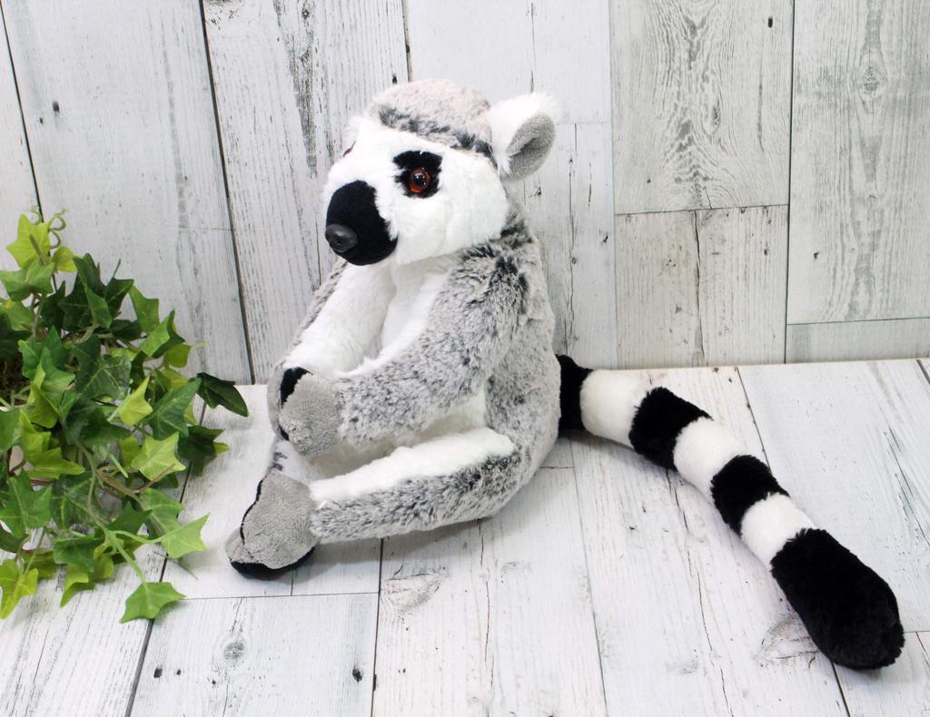 Take Off Ring-Tailed Lemur M