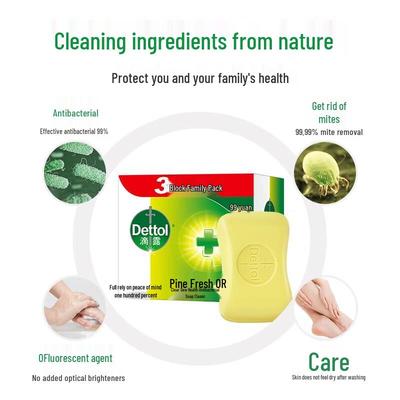 Pine Fresh Soap