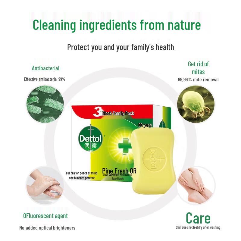 Dettol Pine Fresh Soap