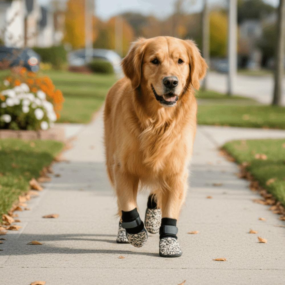 4 Pieces/set Wear Resistant Pet Knitted Socks Paw Pattern Dog Shoes Socks  Floor Protection