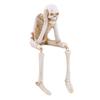 Halloween Statues See Speak Hear No Evil Skeleton Figurine Realistic Skull Decorations Skull Statues Halloween Gothic Home Decor