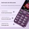 Gionee G510 4G Senior Feature Phone (CN version)